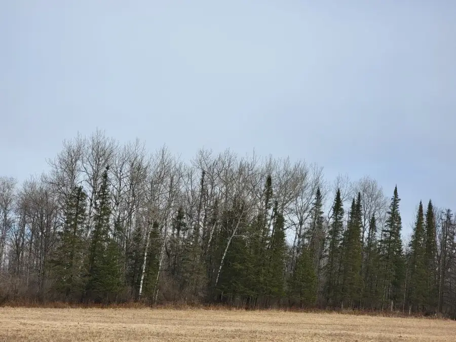 On Townline Road, Ojibwa, WI 54862 - Image #2
