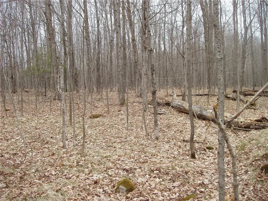 Lot 1 4th Add. Margaret Lane, Park Falls, WI 54552 - Image #2