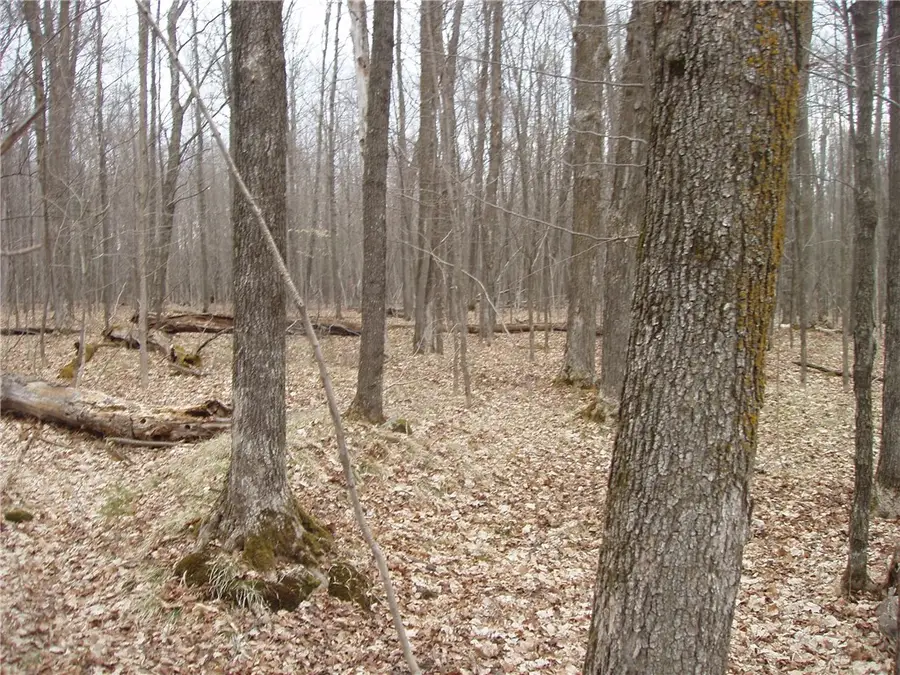 Lot 1 4th Add. Margaret Lane, Park Falls, WI 54552 - Image #3