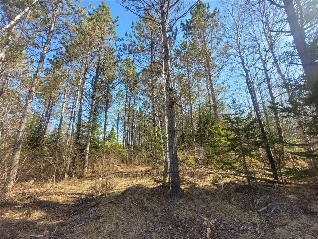 Near Knowles Road, Loretta, WI 54896 - Image #1