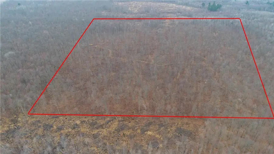 40 Acres Dickerson Avenue, Thorp, WI 54771 - Image #3