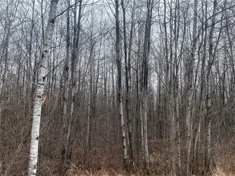 ON Cth I, Ogema, WI 54459 - Image #3