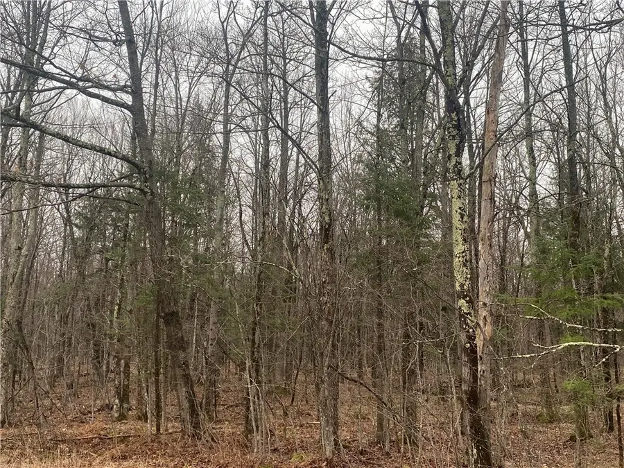 ON Cth I, Ogema, WI 54459 - Image #2