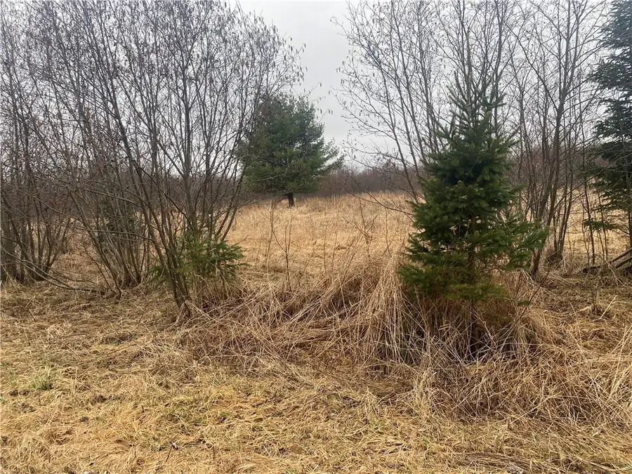 ON Shauger Road, Ogema, WI 54459 - Image #3