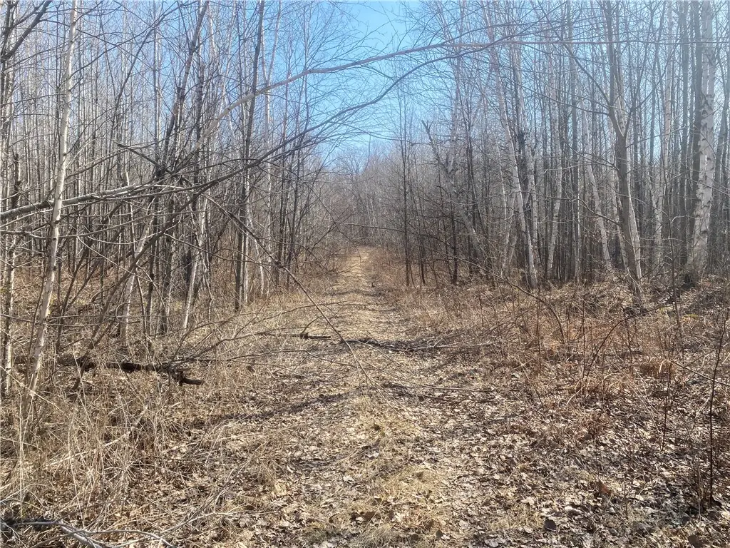 ON Up River Road, Phillips, WI 54555 - #1