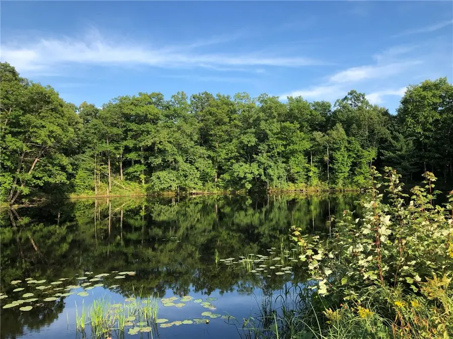 XXX Old Highway 63, Shell Lake, WI 54871 - Image #3