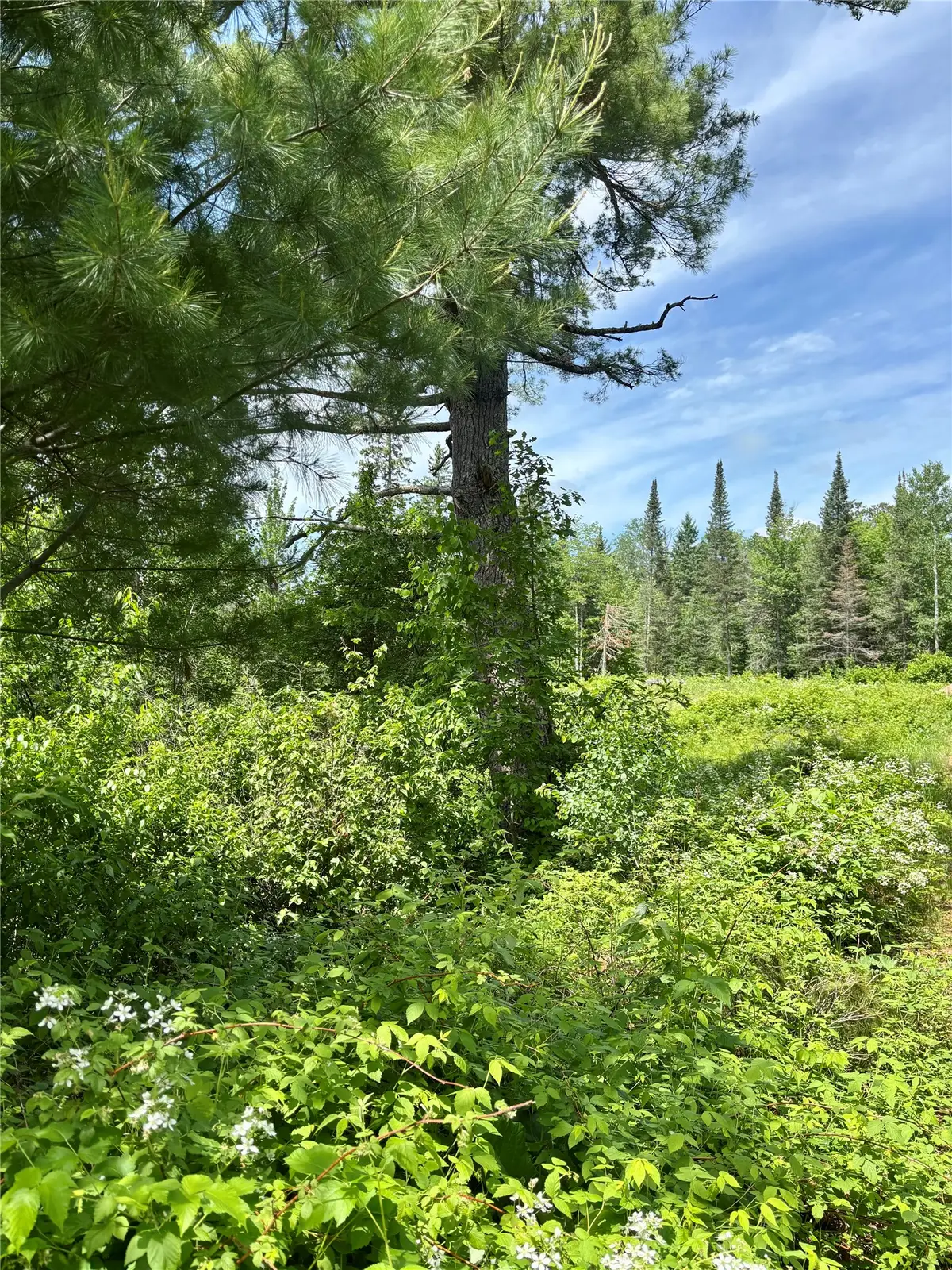 16550 W Ridgerock Road, Hayward, WI 54843 - #1