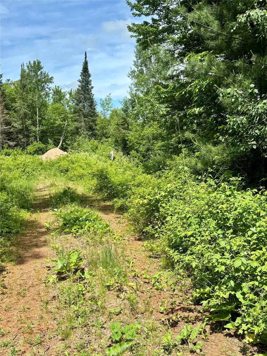 16550 W Ridgerock Road, Hayward, WI 54843 - #3