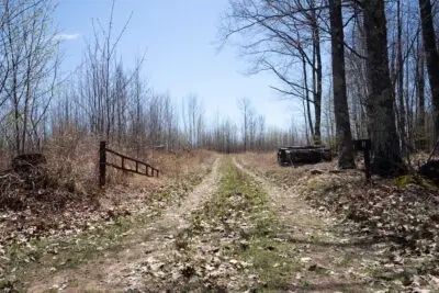 XXX E Beauregard Lake Road, Gordon, WI 54838 - Image #1