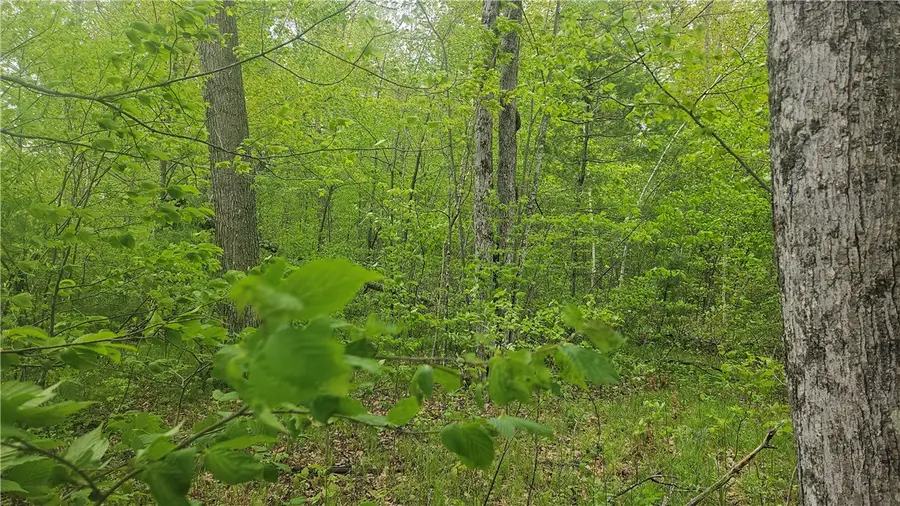 Lot 3 Buckeye Lane, Stone Lake, WI 54876 - Image #3