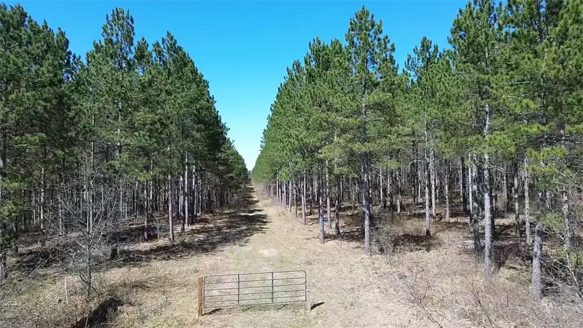 N/A Ellison Lake Road, Barnes, WI 54873 - Image #1