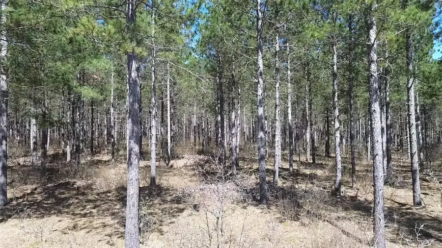 N/A Ellison Lake Road, Barnes, WI 54873 - Image #3