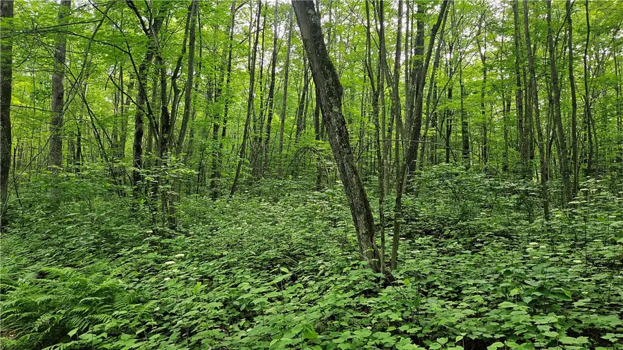 Lots 17-32 Indian Drive, Hayward, WI 54843 - Image #2