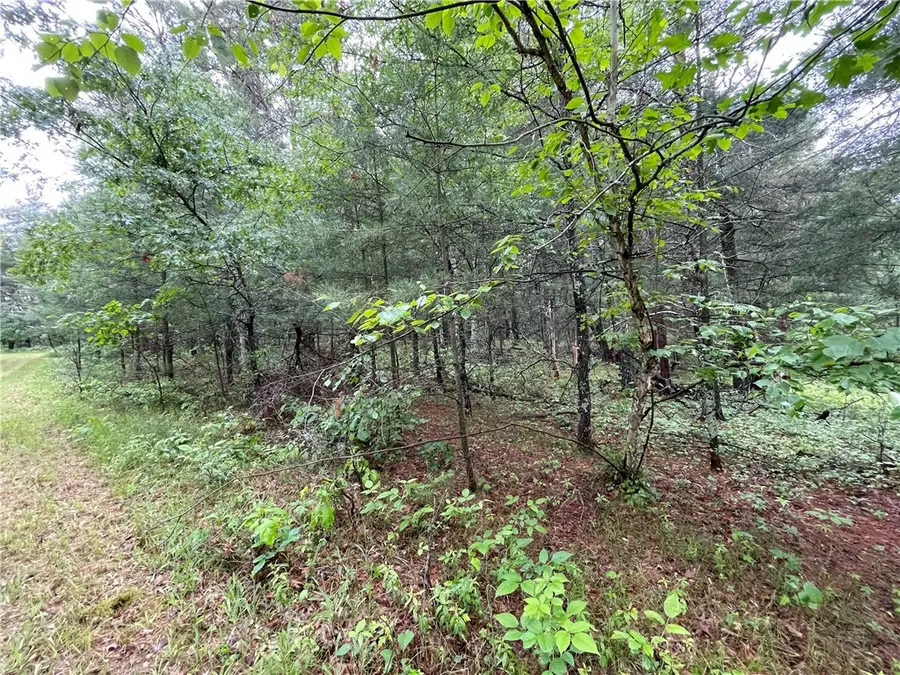 0 Loon Lake Road, Spooner, WI 54801 - Image #3