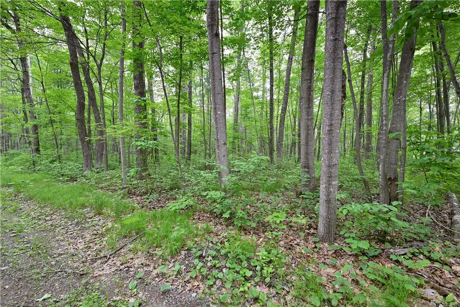 Lot 1 Chippewa Avenue, Hayward, WI 54843 - Image #2