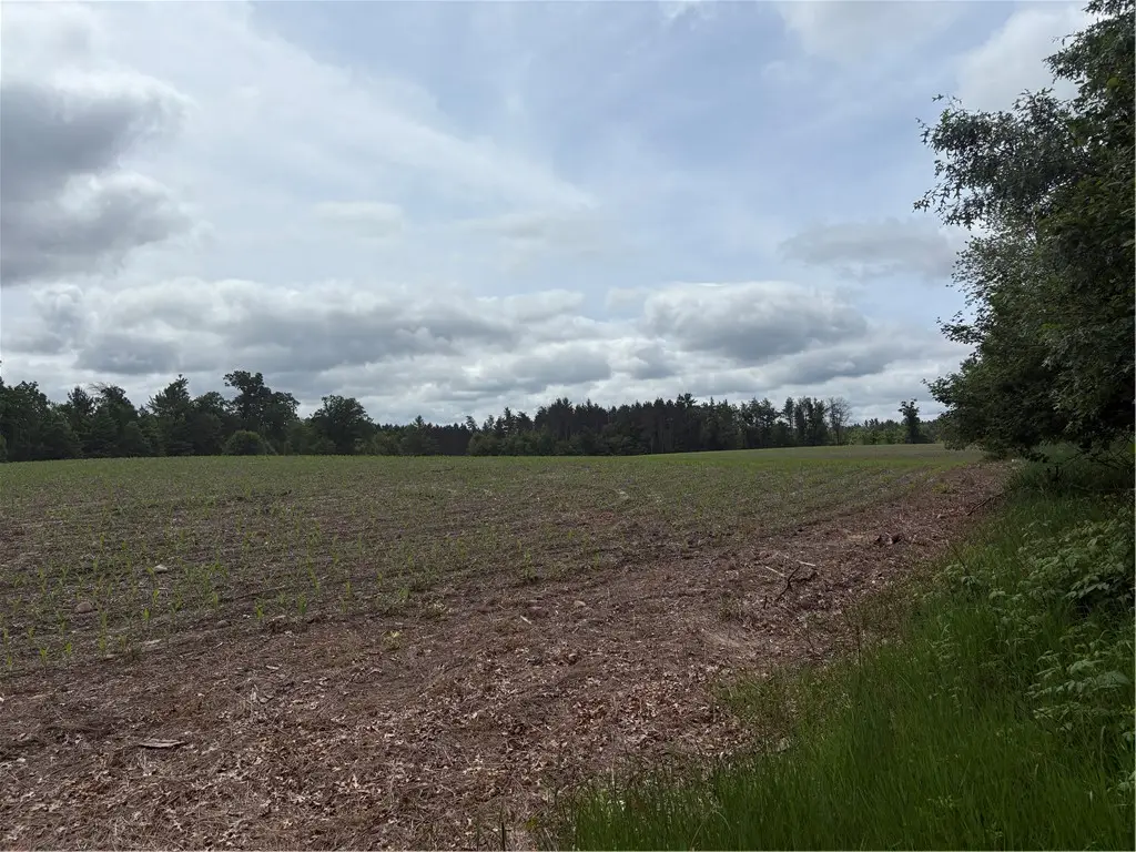 0 Walkers Road, Humbird, WI 54746 - #1