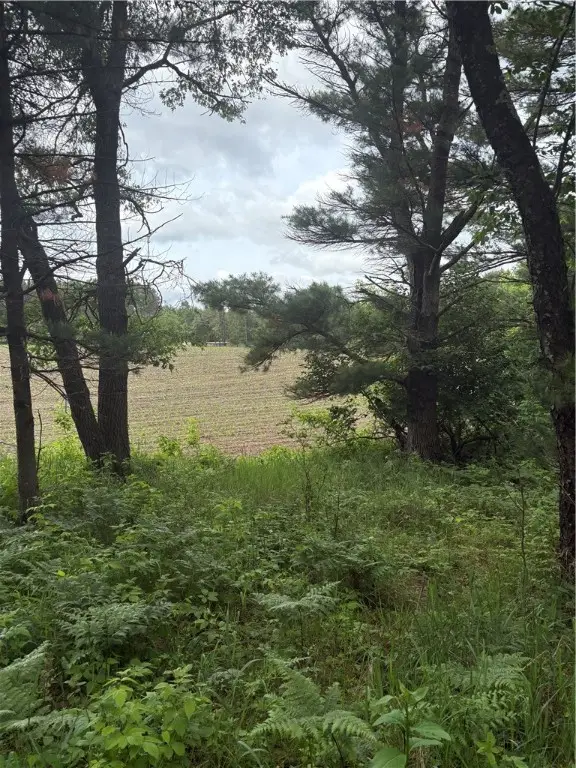 0 Walkers Road, Humbird, WI 54746 - #3