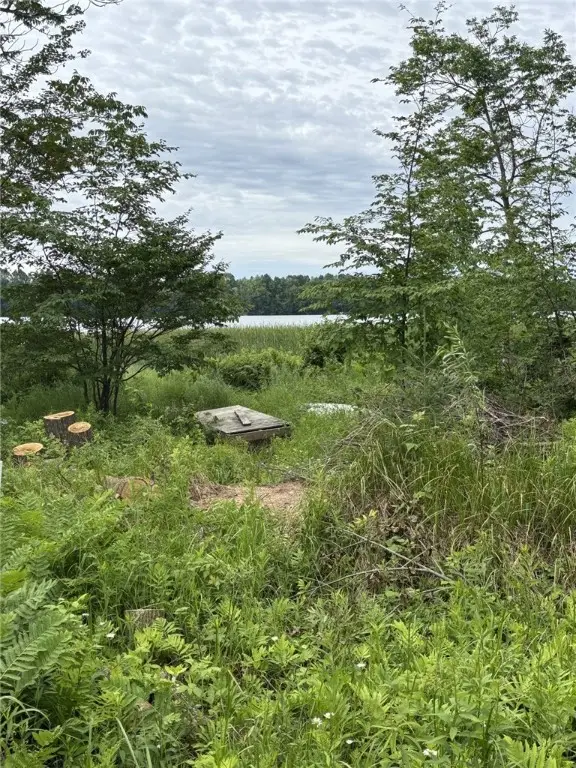 N6004 Thronson Drive, Ladysmith, WI 54848 - Image #2