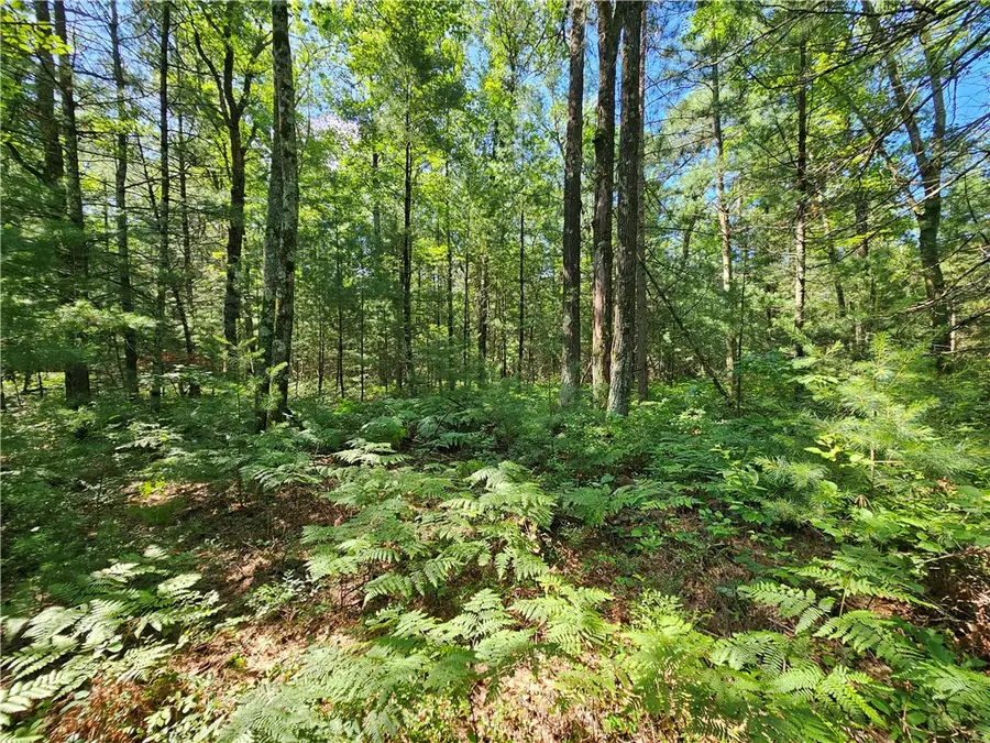 XXX Potter Road, Black River Falls, WI 54615 - Image #2