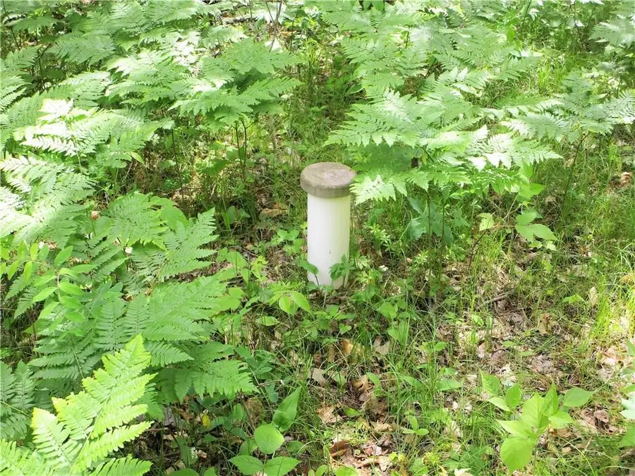 Lot 111 & 112 Bridle Road, Webster, WI 54893 - Image #2