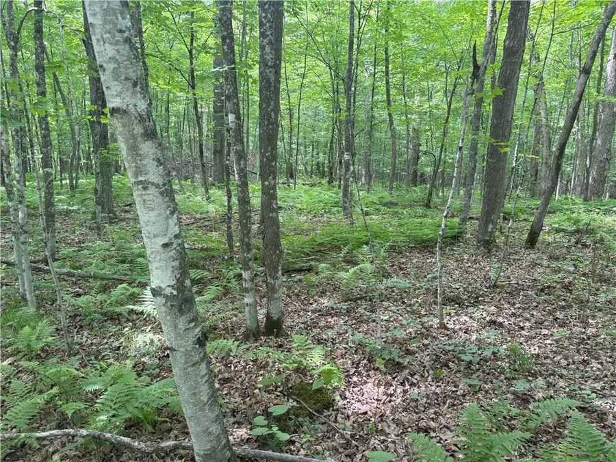 0 28 7/16-28 9/16 Street, Birchwood, WI 54817 - Image #2