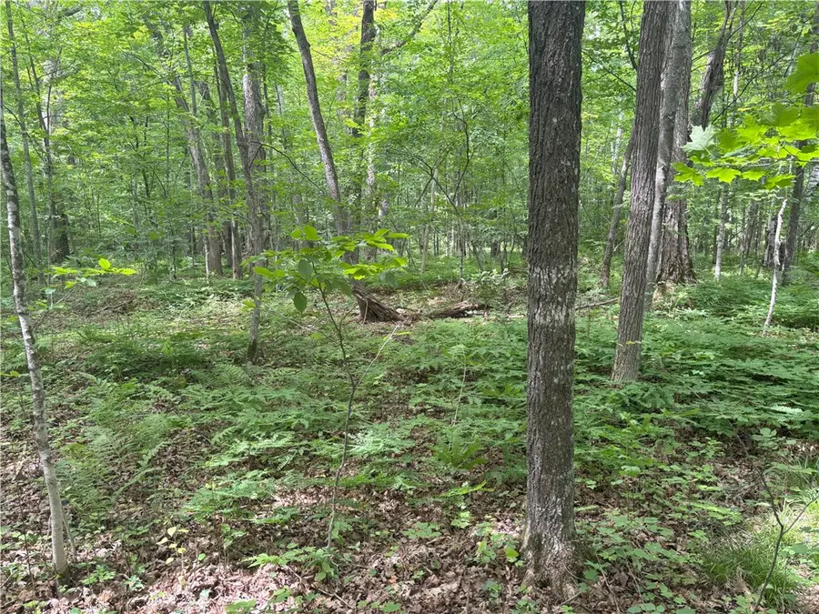 0 28 7/16-28 9/16 Street, Birchwood, WI 54817 - Image #3