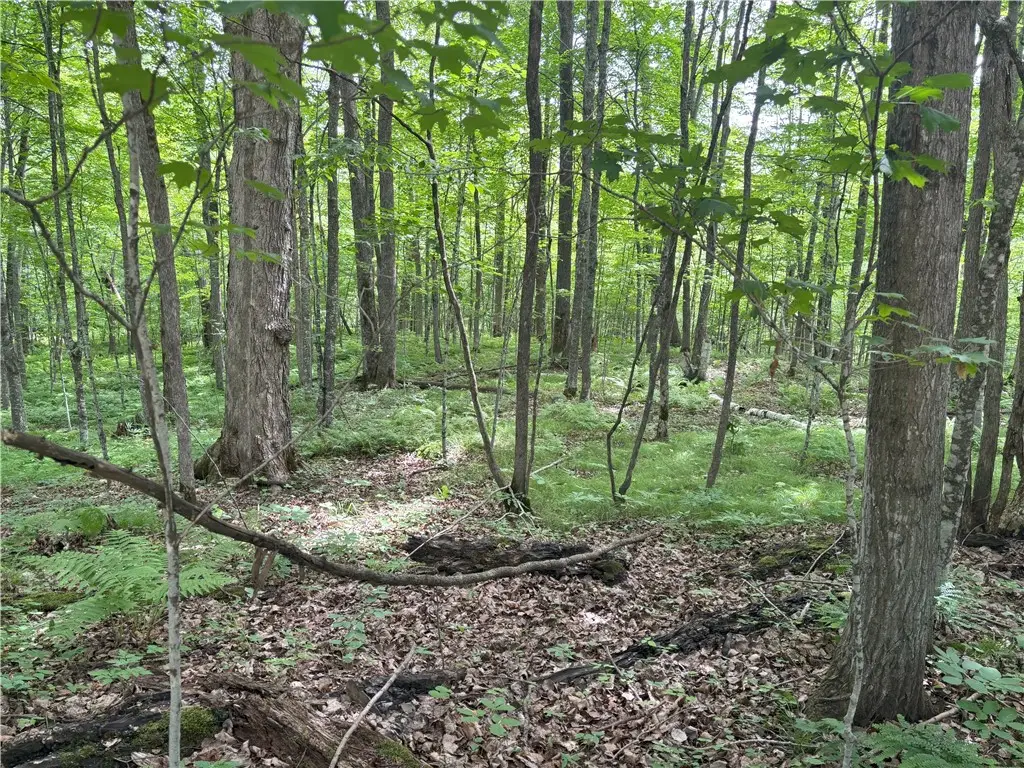 0 29 1/2 Avenue Street, Birchwood, WI 54817 - Image #1