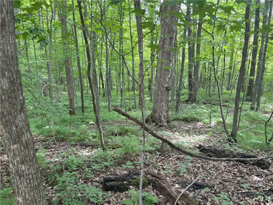 0 29 1/2 Avenue Street, Birchwood, WI 54817 - Image #3