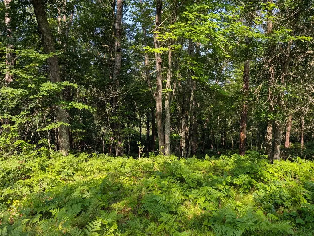 xxx Dock Lake Road, Rusk, WI 54801 - Image #1