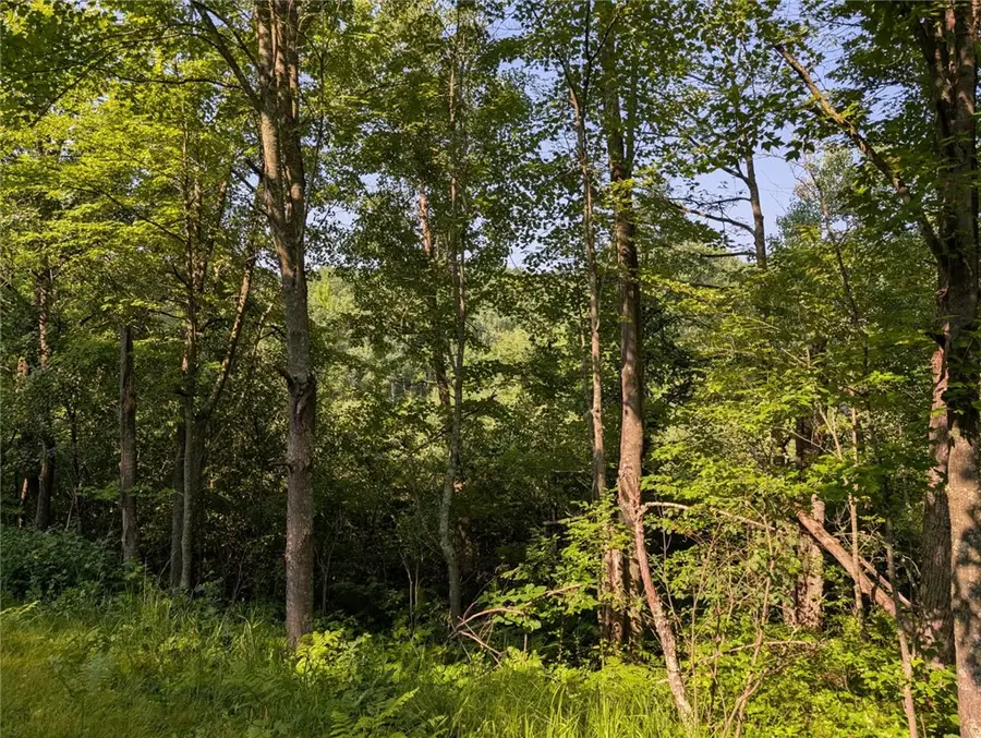 xxx Dock Lake Road, Rusk, WI 54801 - Image #2