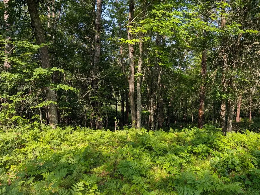 xxx Dock Lake Road, Rusk, WI 54801 - Image #3