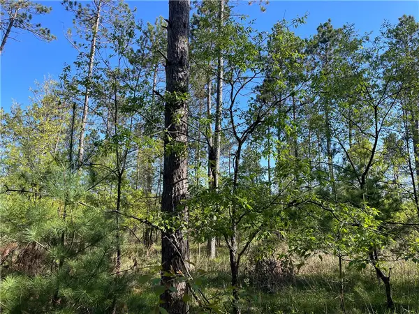 Lot 2 Murphy Boulevard, Hayward, WI 54843