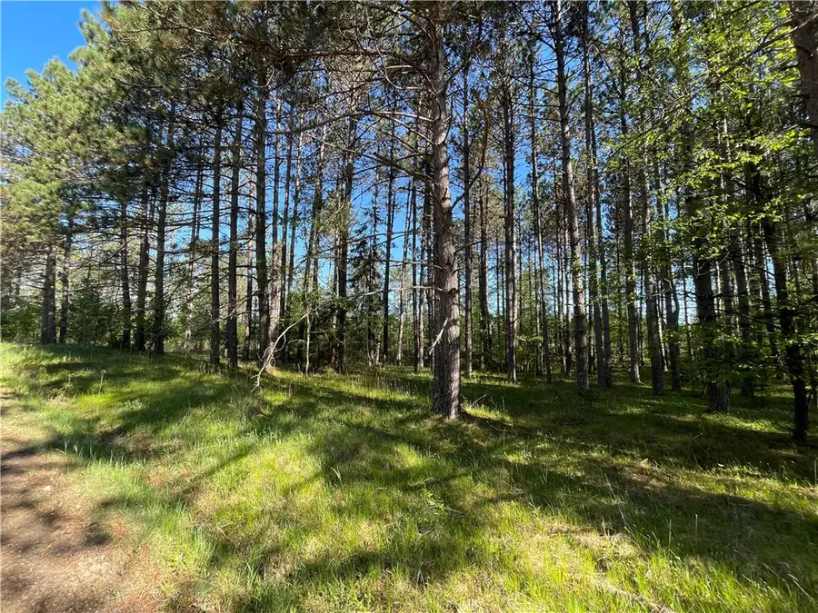 Lot 7 Hermosa Lane, Hayward, WI 54843 - Image #3