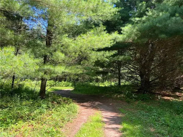 00000 Lily Lake Inn Road, Webster, WI 54893