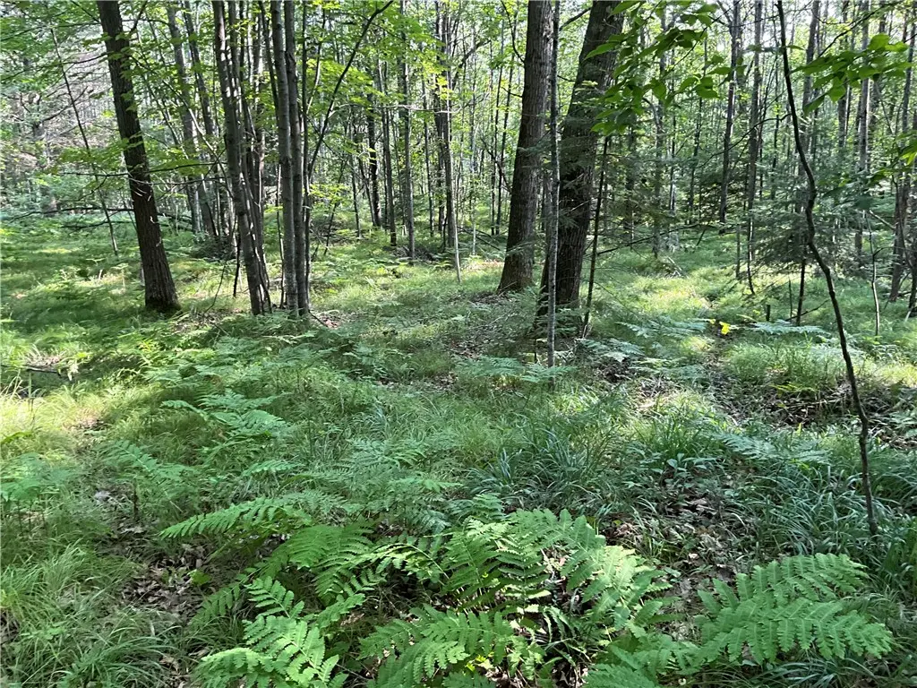 Lot 3 Falcon Ridge, Hayward, WI 54843 - Image #1