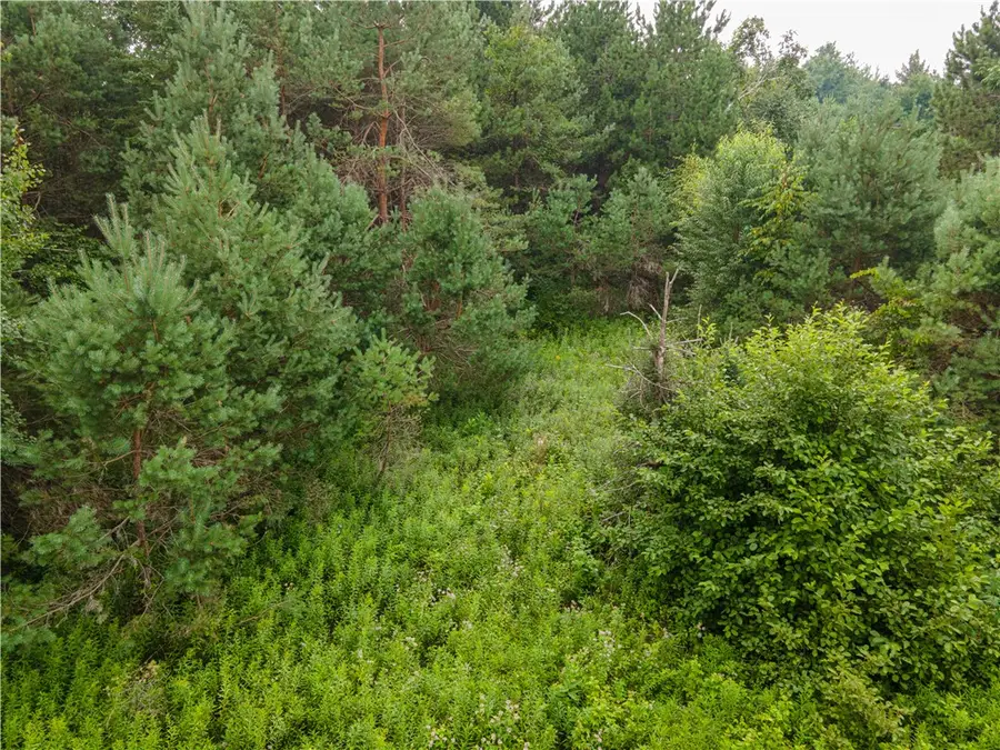 Lot 5 Fairway Drive, Ladysmith, WI 54848 - Image #3