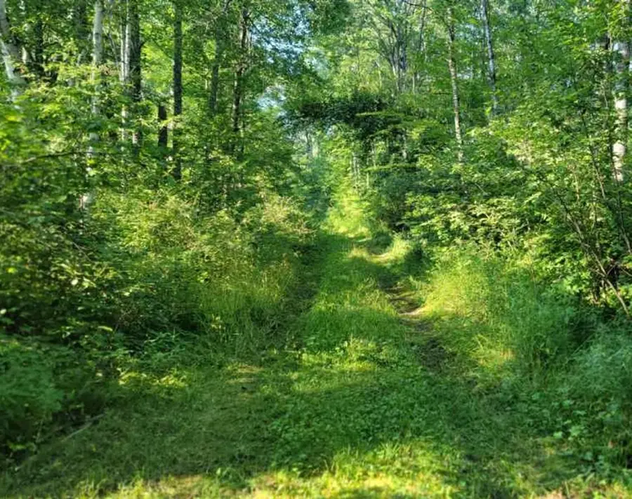 On Daisy Lane, Ojibwa, WI 54862 - Image #2