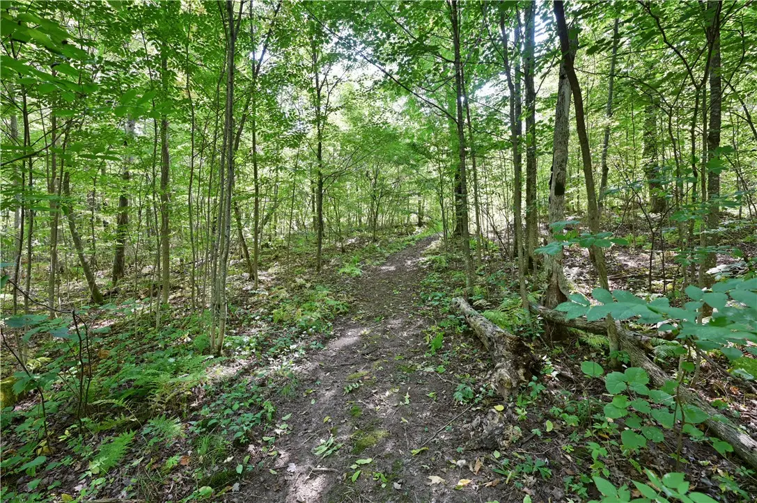 Lots 1 & 2 13 1/4 St, Rice Lake, WI 54868 - Image #1