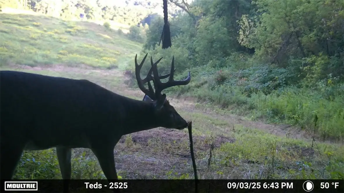 N45211 Franson Rd Roads N, Strum, WI 54770 - Image #1