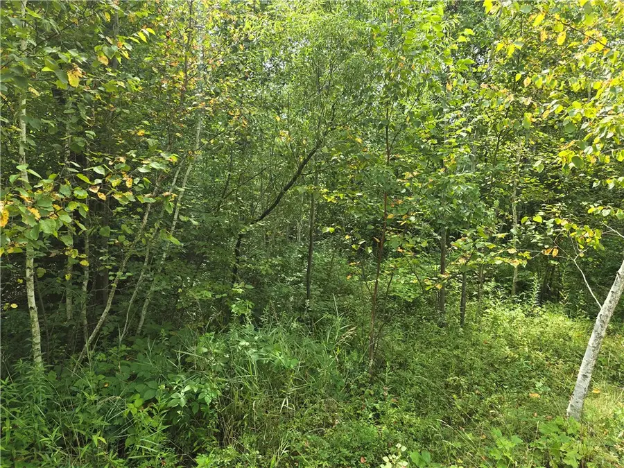 00 10 1/4 Avenue, Chetek, WI 54728 - Image #3