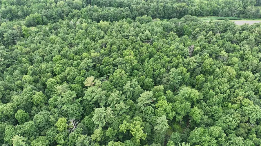 XX Hwy 63, Turtle Lake, WI 54889 - Image #3