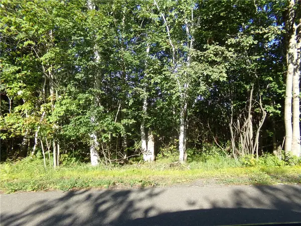 7581 S Marsik Lot 4 Road, Lake Nebagamon, WI 54849