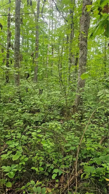 Lots 1-2, 34-40 BLK 2 County Road K, Hayward, WI 54843 - Image #3