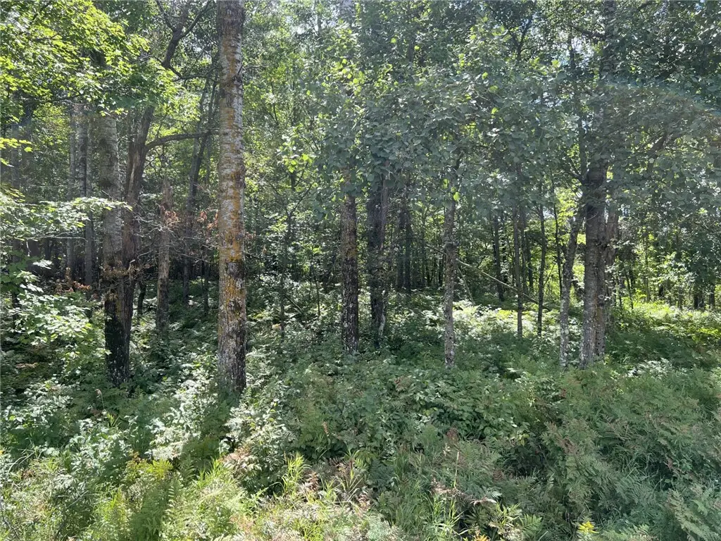 XXXX Tollander Rd, Siren, WI 54872 - Image #1