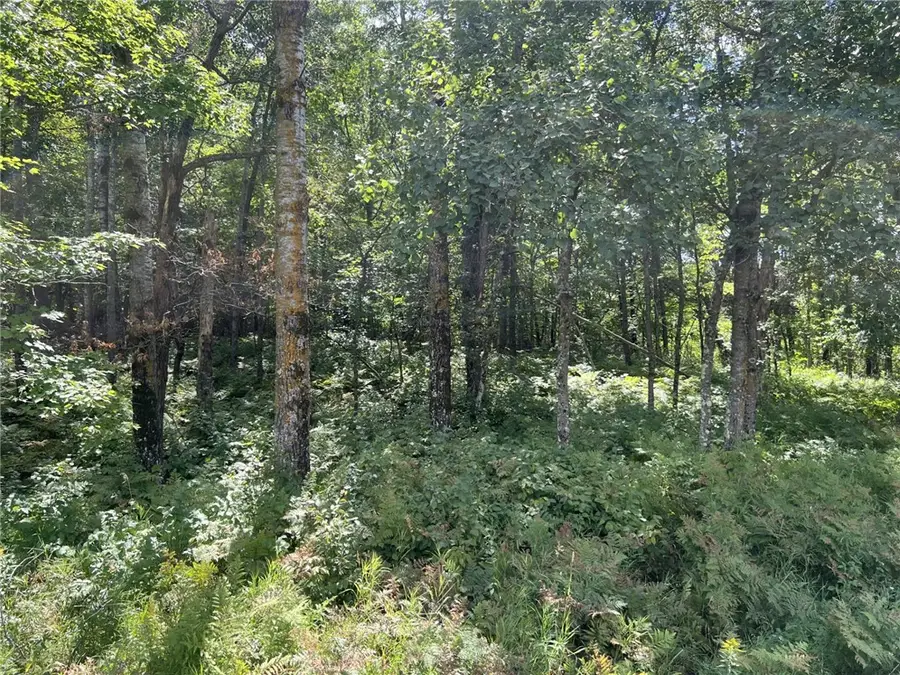 XXXX Tollander Rd, Siren, WI 54872 - Image #2