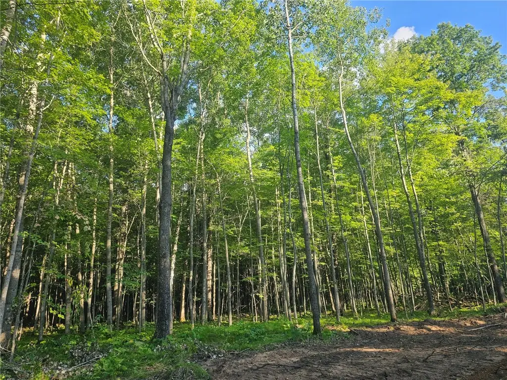Lot 4 Ken Can Lane, Webster, WI 54893 - #1