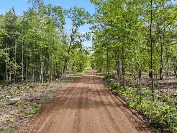 Lot 1 Ramer Road, Bruce, WI 54819