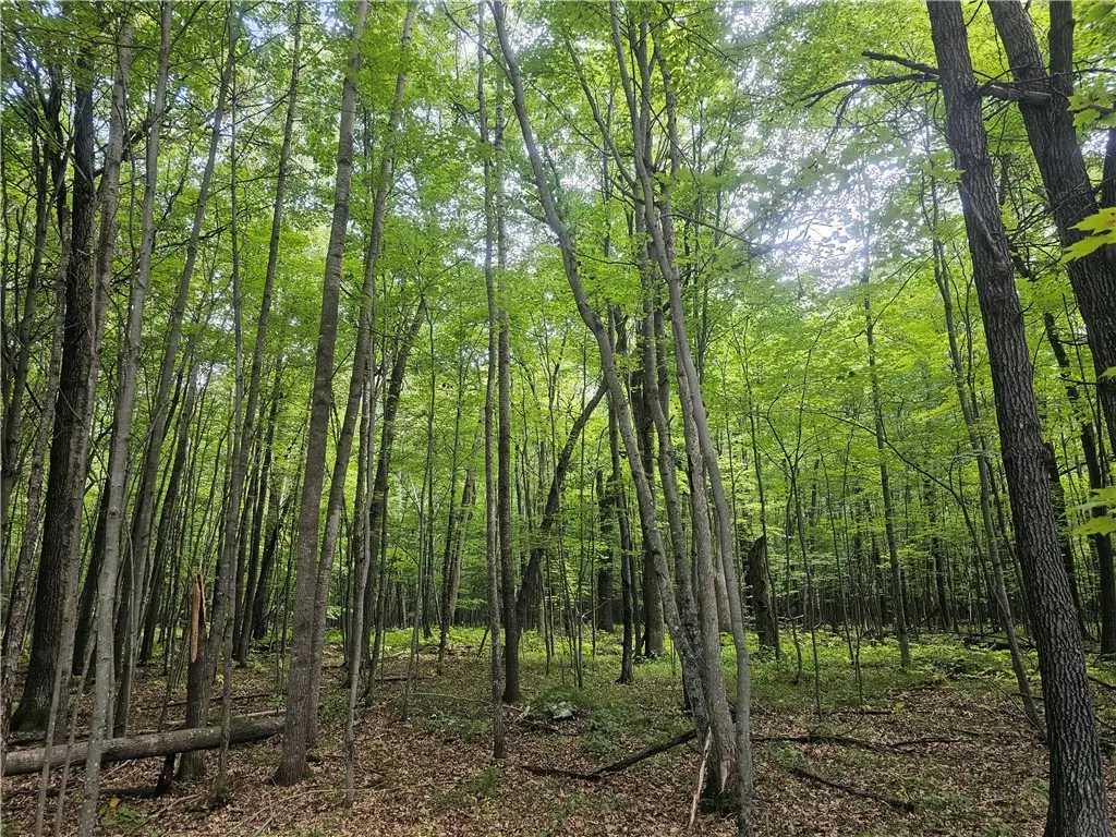 Lot 6 Ken Can Lane, Webster, WI 54893 - #1