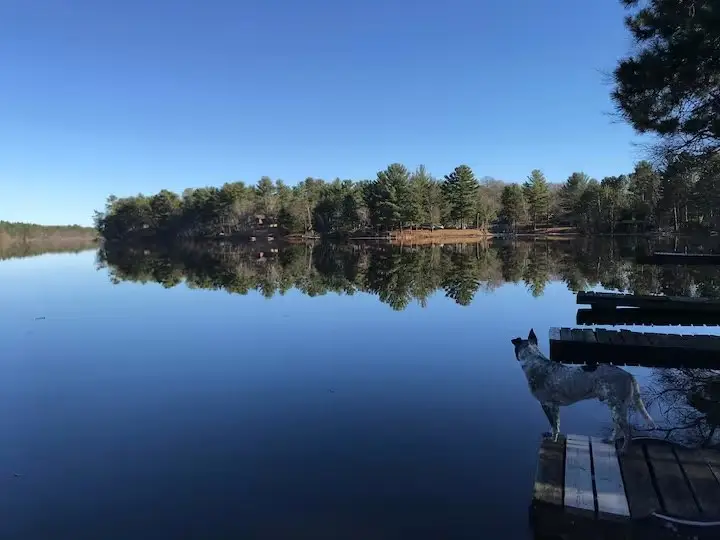 985 25 1/16 Street #4, Chetek, WI 54728 - Image #2