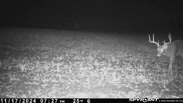 E21504 Karow Road, Augusta, WI 54722